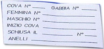 STA I021 Zucht-Karten Block mit 10 Stck