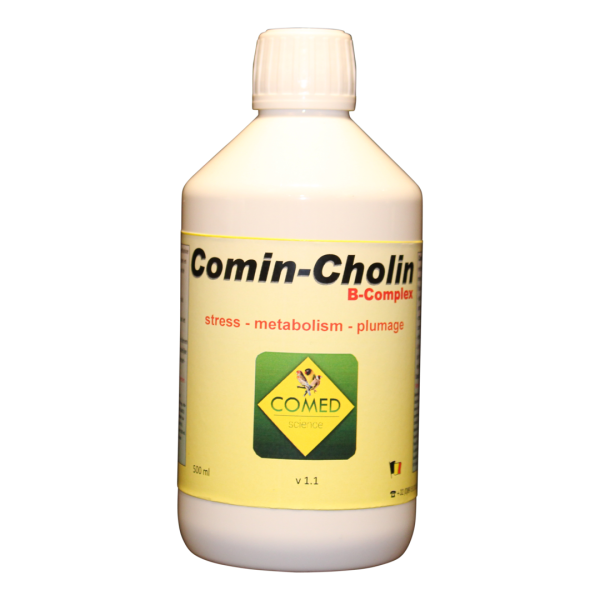 Comed Comin-Cholin (B-Complex) Bird 250ml