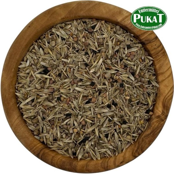 Grassamen Standard 10kg