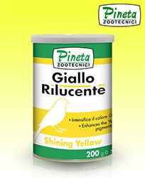Pineta Giallo Rilucente (Leuchtendes gelb) 200g