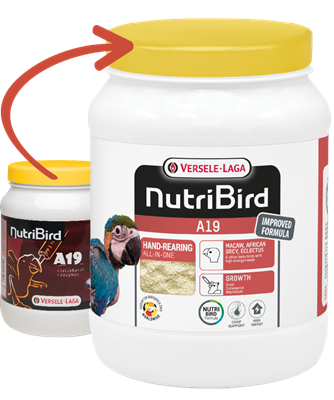 NutriBird A19 Handaufzuchtfutter 800g