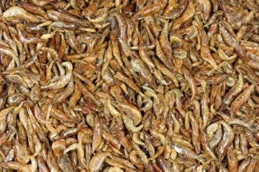 Süßwasser Shrimps - Garnelen getrocknet 5kg