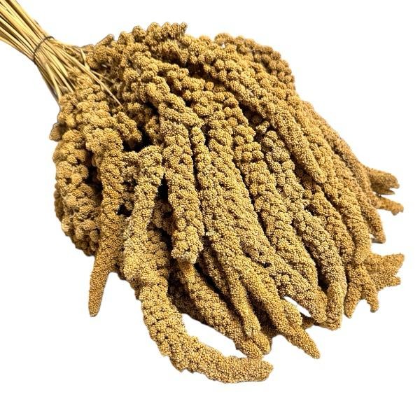 Kolbenhirse - Gelb Frankreich 25kg