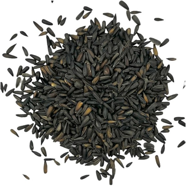 Sonnenblumenkerne mini schwarz 4kg