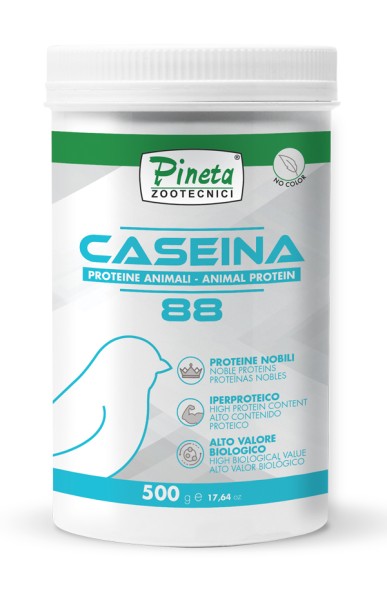 Pineta Caseina-88 Milch Protein Pulver 500g